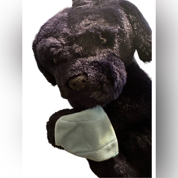 Navy Blue Dog 🐶 With Bitten Sky Blue Sock - Picture 3 of 6